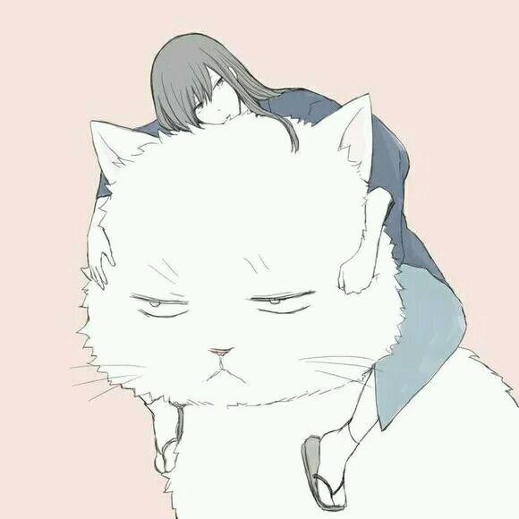 心海的猫头像