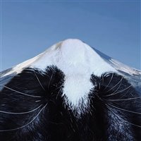 瓜太肥🐱头像